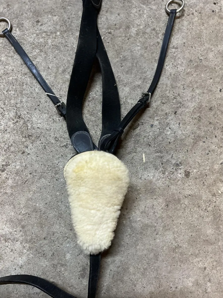 Collier de chasse COB